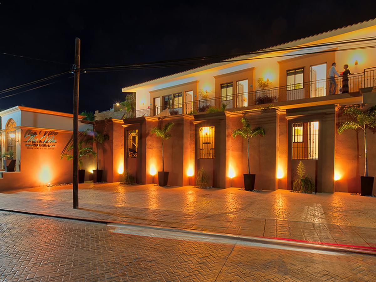 The Vibe Boutique Bed & Breakfast (Adults Only) Todos Santos Exteriér fotografie